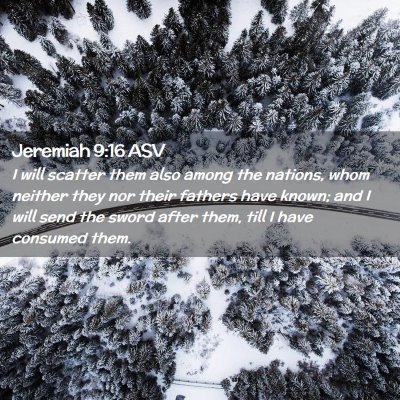 Picture 02 - Jeremiah 9:16 ASV - I will scatter them also among the nations, whom - Bible Verse Picture