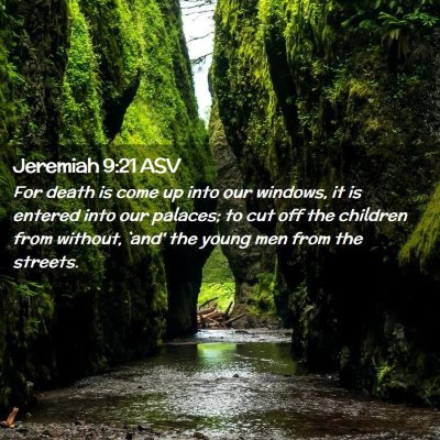 Picture 02 - Jeremiah 9:21 ASV - For death is come up into our windows, it is - Bible Verse Picture