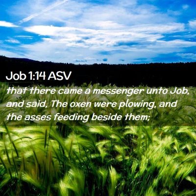 Picture 02 - Job 1:14 ASV - that there came a messenger unto Job, and said, - Bible Verse Picture