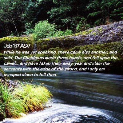 Picture 02 - Job 1:17 ASV - While he was yet speaking, there came also - Bible Verse Picture