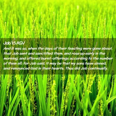 Picture 02 - Job 1:5 ASV - And it was so, when the days of their feasting - Bible Verse Picture