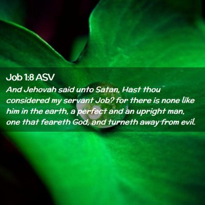Picture 02 - Job 1:8 ASV - And Jehovah said unto Satan, Hast thou considered - Bible Verse Picture