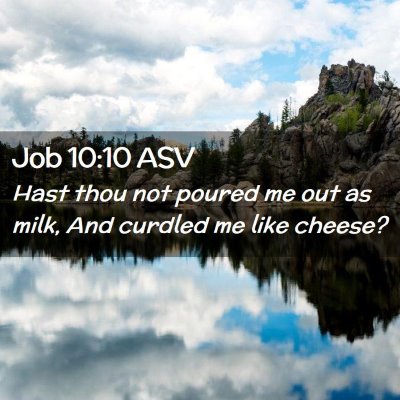 Picture 02 - Job 10:10 ASV - Hast thou not poured me out as milk, And curdled - Bible Verse Picture