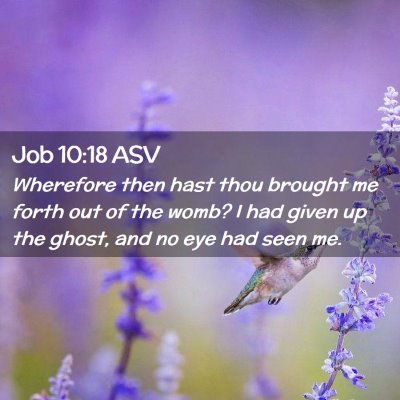 Picture 02 - Job 10:18 ASV - Wherefore then hast thou brought me forth out of - Bible Verse Picture