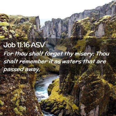 Picture 02 - Job 11:16 ASV - For thou shalt forget thy misery; Thou shalt - Bible Verse Picture
