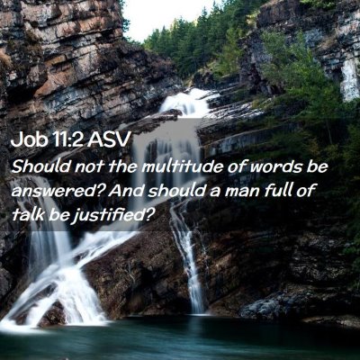 Picture 02 - Job 11:2 ASV - Should not the multitude of words be answered? - Bible Verse Picture