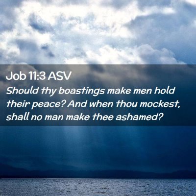 Picture 02 - Job 11:3 ASV - Should thy boastings make men hold their peace? - Bible Verse Picture