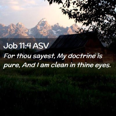Picture 02 - Job 11:4 ASV - For thou sayest, My doctrine is pure, And I am - Bible Verse Picture