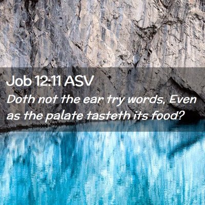 Picture 02 - Job 12:11 ASV - Doth not the ear try words, Even as the palate - Bible Verse Picture
