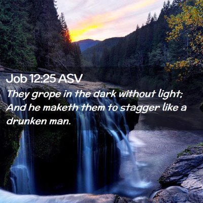 Picture 02 - Job 12:25 ASV - They grope in the dark without light; And he - Bible Verse Picture