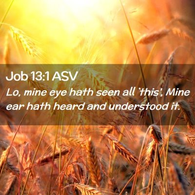 Picture 02 - Job 13:1 ASV - Lo, mine eye hath seen all `this', Mine ear hath - Bible Verse Picture