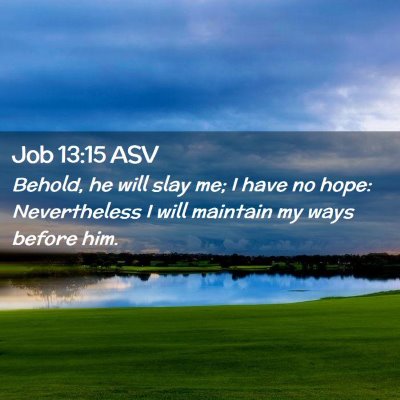 Picture 02 - Job 13:15 ASV - Behold, he will slay me; I have no hope: - Bible Verse Picture