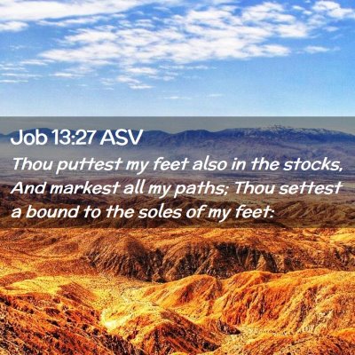 Picture 02 - Job 13:27 ASV - Thou puttest my feet also in the stocks, And - Bible Verse Picture