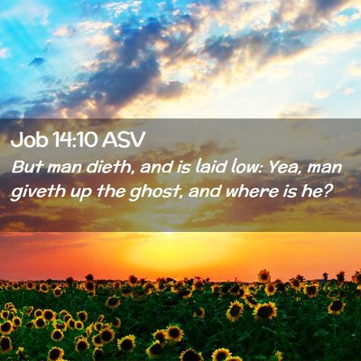 Picture 02 - Job 14:10 ASV - But man dieth, and is laid low: Yea, man giveth - Bible Verse Picture