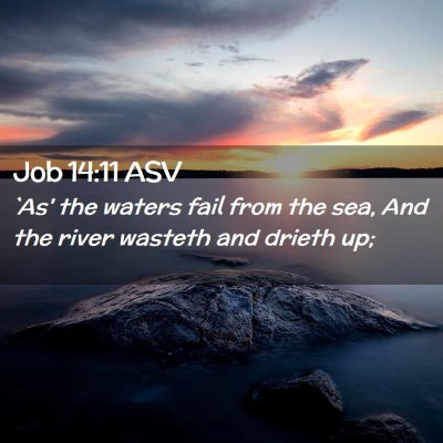 Picture 02 - Job 14:11 ASV - `As' the waters fail from the sea, And the river - Bible Verse Picture