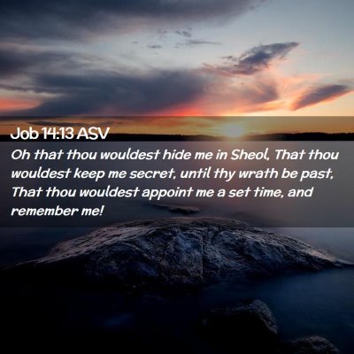 Picture 02 - Job 14:13 ASV - Oh that thou wouldest hide me in Sheol, That thou - Bible Verse Picture