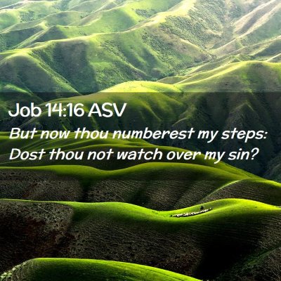 Picture 02 - Job 14:16 ASV - But now thou numberest my steps: Dost thou not - Bible Verse Picture