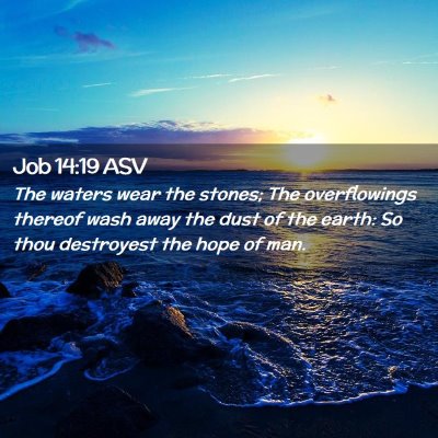 Picture 02 - Job 14:19 ASV - The waters wear the stones; The overflowings - Bible Verse Picture