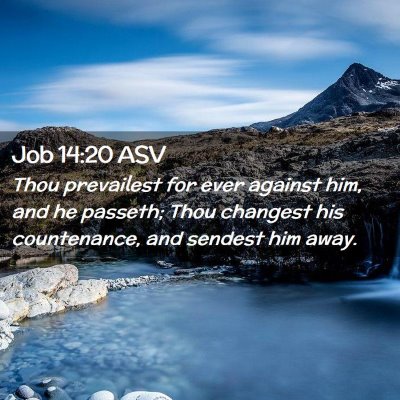 Picture 02 - Job 14:20 ASV - Thou prevailest for ever against him, and he - Bible Verse Picture