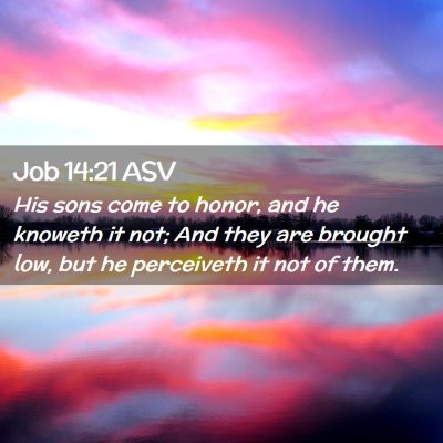 Picture 02 - Job 14:21 ASV - His sons come to honor, and he knoweth it not; - Bible Verse Picture