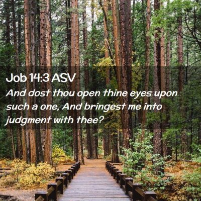 Picture 02 - Job 14:3 ASV - And dost thou open thine eyes upon such a one, - Bible Verse Picture