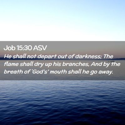 Picture 02 - Job 15:30 ASV - He shall not depart out of darkness; The flame - Bible Verse Picture