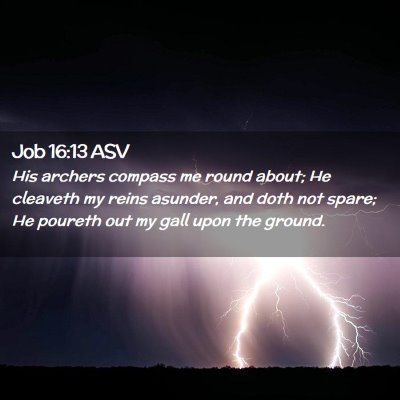 Picture 02 - Job 16:13 ASV - His archers compass me round about; He cleaveth - Bible Verse Picture