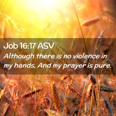Picture 02 - Job 16:17 ASV - Although there is no violence in my hands, And my - Bible Verse Picture