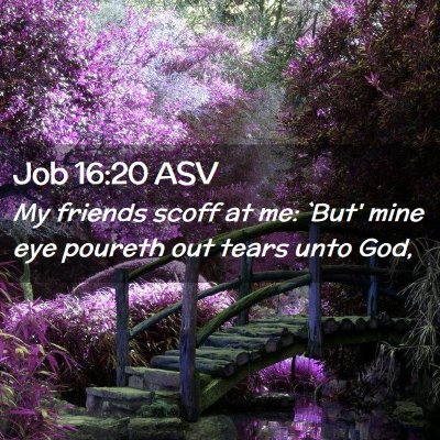 Picture 02 - Job 16:20 ASV - My friends scoff at me: `But' mine eye poureth - Bible Verse Picture