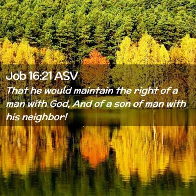 Picture 02 - Job 16:21 ASV - That he would maintain the right of a man with - Bible Verse Picture