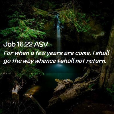 Picture 02 - Job 16:22 ASV - For when a few years are come, I shall go the way - Bible Verse Picture