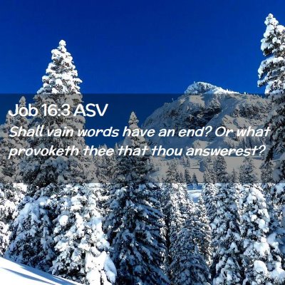 Picture 02 - Job 16:3 ASV - Shall vain words have an end? Or what provoketh - Bible Verse Picture