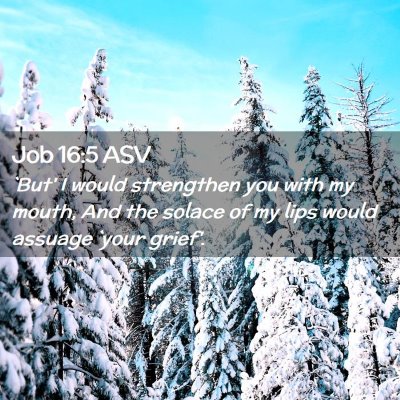 Picture 02 - Job 16:5 ASV - `But' I would strengthen you with my mouth, And - Bible Verse Picture