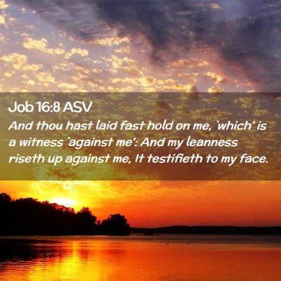 Picture 02 - Job 16:8 ASV - And thou hast laid fast hold on me, `which' is a - Bible Verse Picture