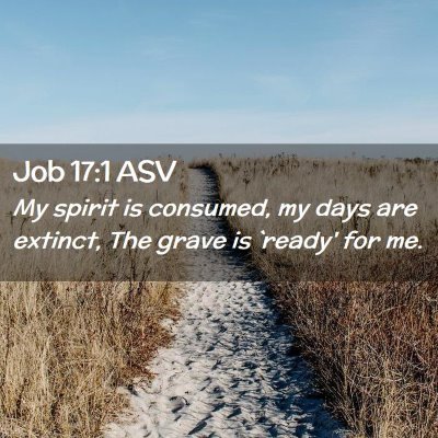Picture 02 - Job 17:1 ASV - My spirit is consumed, my days are extinct, The - Bible Verse Picture