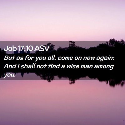 Picture 02 - Job 17:10 ASV - But as for you all, come on now again; And I - Bible Verse Picture