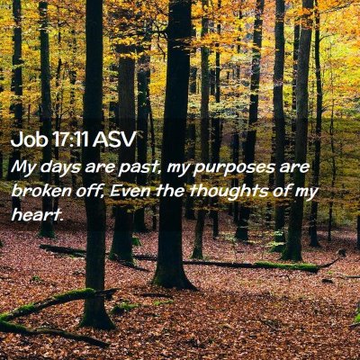 Picture 02 - Job 17:11 ASV - My days are past, my purposes are broken off, - Bible Verse Picture