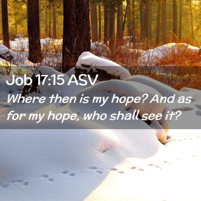 Picture 02 - Job 17:15 ASV - Where then is my hope? And as for my hope, who - Bible Verse Picture