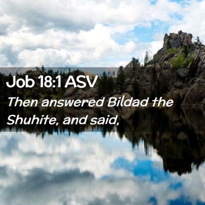 Picture 02 - Job 18:1 ASV - Then answered Bildad the Shuhite, and - Bible Verse Picture