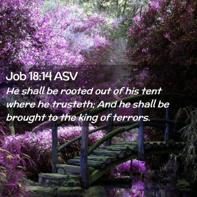 Picture 02 - Job 18:14 ASV - He shall be rooted out of his tent where he - Bible Verse Picture