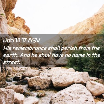 Picture 02 - Job 18:17 ASV - His remembrance shall perish from the earth, And - Bible Verse Picture
