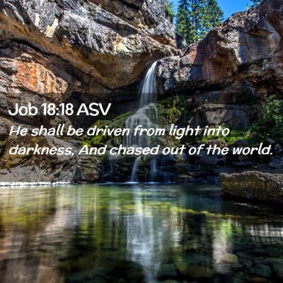 Picture 02 - Job 18:18 ASV - He shall be driven from light into darkness, And - Bible Verse Picture