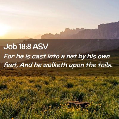 Picture 02 - Job 18:8 ASV - For he is cast into a net by his own feet, And he - Bible Verse Picture