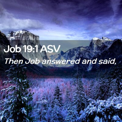 Picture 02 - Job 19:1 ASV - Then Job answered and - Bible Verse Picture