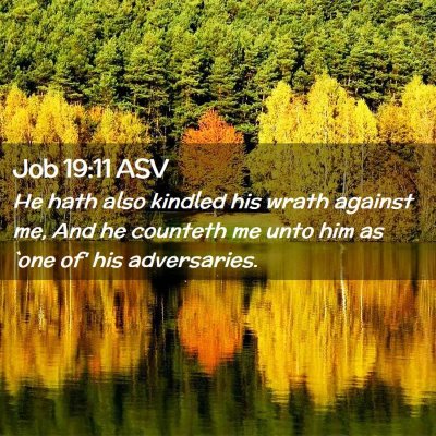 Picture 02 - Job 19:11 ASV - He hath also kindled his wrath against me, And he - Bible Verse Picture