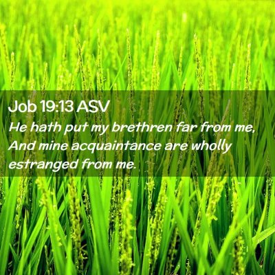 Picture 02 - Job 19:13 ASV - He hath put my brethren far from me, And mine - Bible Verse Picture