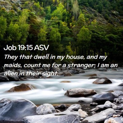 Picture 02 - Job 19:15 ASV - They that dwell in my house, and my maids, count - Bible Verse Picture