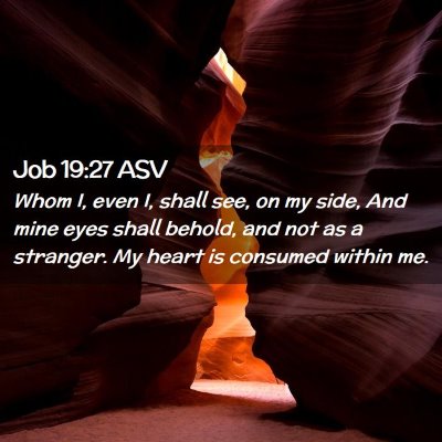 Picture 02 - Job 19:27 ASV - Whom I, even I, shall see, on my side, And mine - Bible Verse Picture