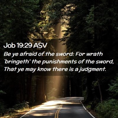Picture 02 - Job 19:29 ASV - Be ye afraid of the sword: For wrath `bringeth' - Bible Verse Picture