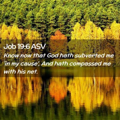 Picture 02 - Job 19:6 ASV - Know now that God hath subverted me `in my - Bible Verse Picture